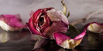 PANNELLO FIORI SADNESS 80X40CM