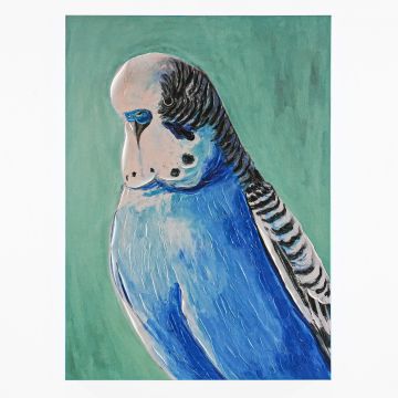 QUADRO TELA PAPPAGALLO CON CORNICE BLU 70X95CM SP 5CM