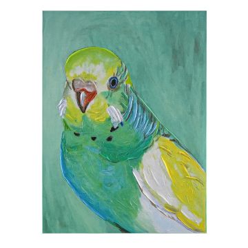 QUADRO TELA PAPPAGALLO CON CORNICE VERDE 70X95CM SP 5CM