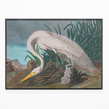 QUADRO TELA AIRONE BIANCO CON CORNICE IN ACRILICO NERO 65X90CM SP 5CM