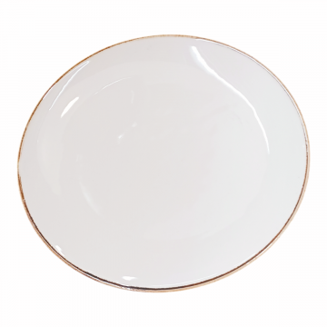 PIATTO PIANO IN PORCELLANA LINEA ACTIVE RING DIAM. 28CM BIANCO