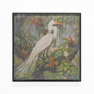 QUADRO TELA AIRONE CON CORNICE IN ACRILICO NERO 40X40CM SP 5CM
