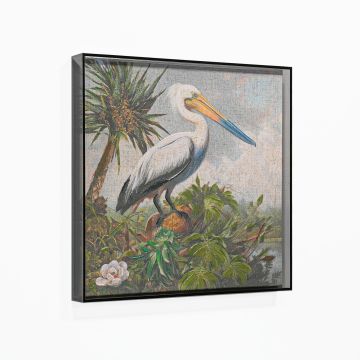 QUADRO TELA PELLICANO CON CORNICE IN ACRILICO NERO 40X40CM SP 5CM