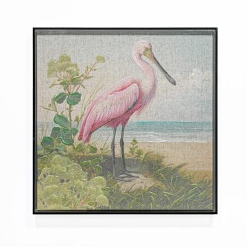 QUADRO TELA IBIS CON CORNICE IN ACRILICO NERO 40X40CM SP 5CM