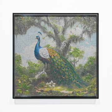 QUADRO TELA PAVONE CON CORNICE IN ACRILICO NERO 40X40CM SP 5CM