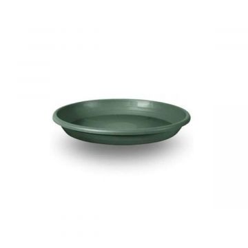 SOTTOVASO CILINDRO D15CM VERDE BOSCO