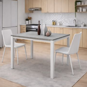 TAVOLO MOD. PLUTONE ALLUNGABILE CM 110X70 BIANCO E CEMENTO 