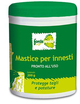 MASTICE PER INNESTI 200GR