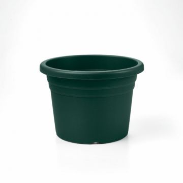 VASO JESOLO D. 16CM VERDE BOSCO