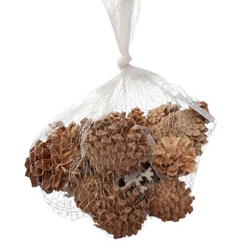 CONFEZIONE PIGNE COLORE NATURALE 150GR