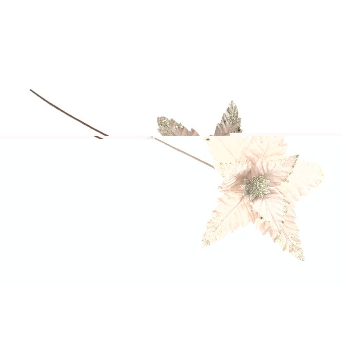 FIORE GAMBO LUNGO CHAMPAGNE D. 34CM