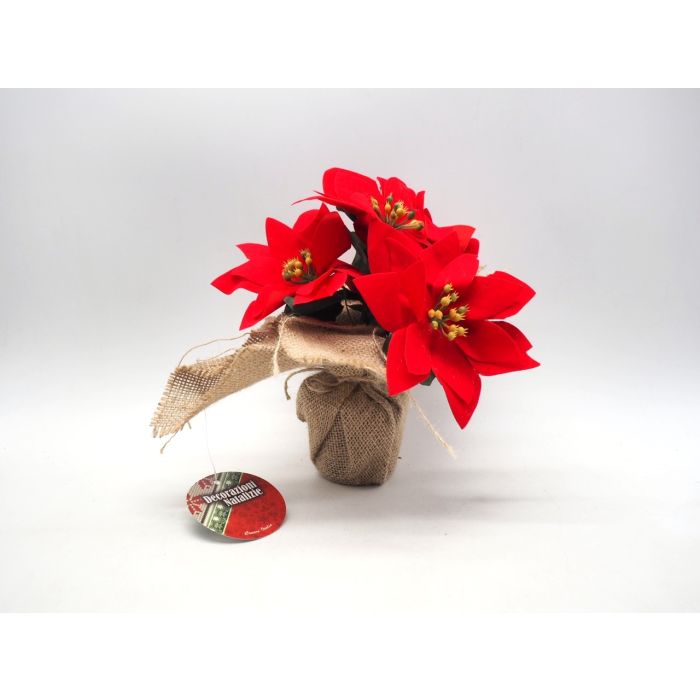 PIANTA STELLA NATALE ROSSA H 19CM C/3 FIORI VASO C/JUTA