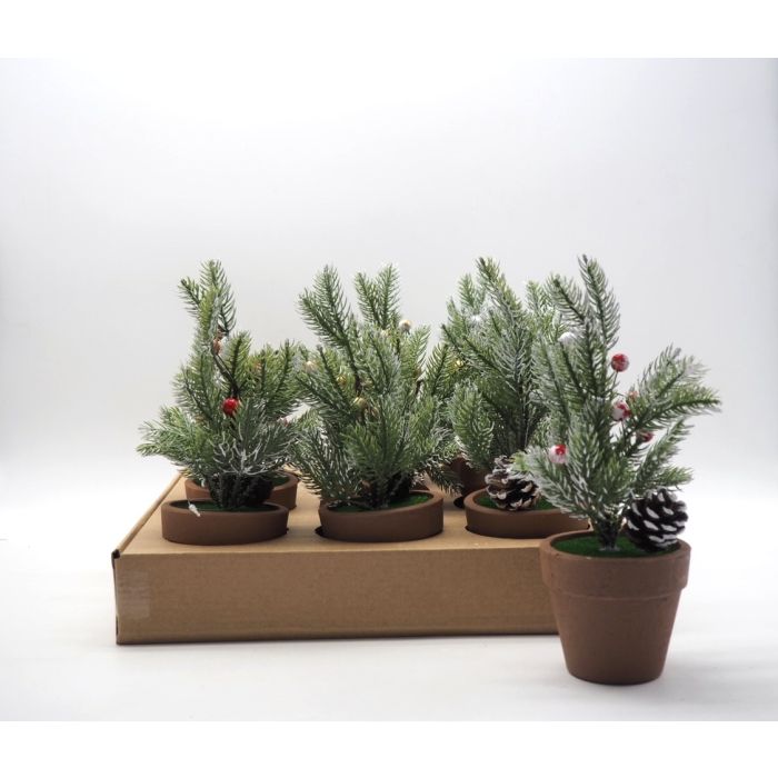 PINO NEVATO C/BACCHE ROSSE H 22CM C/VASO