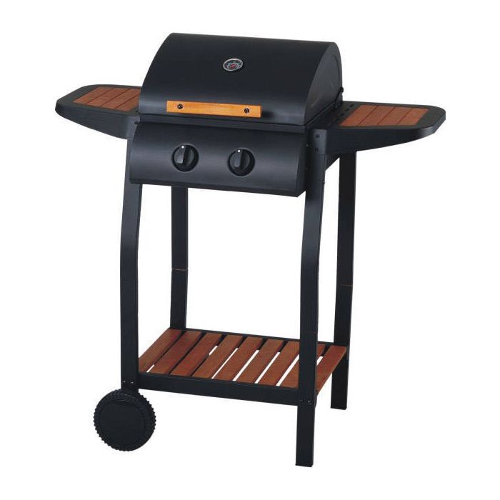 BARBEQUE A GAS 2 FUOCHI
