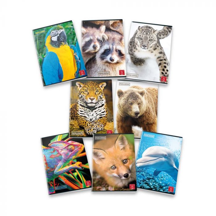 QUADERNO MAXI ANIMAL 42FF/SH 80GR QUADRETTI GRANDI 10mm QUADERNO MAXI ANIMAL 42FF/SH 80GR QUADRETTI GRANDI 10mm