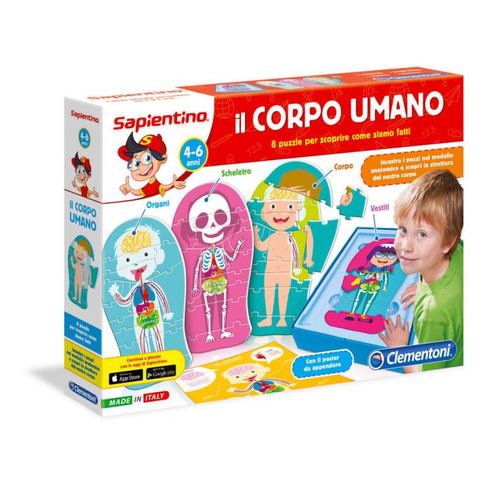 IL CORPO UMANO IL CORPO UMANO