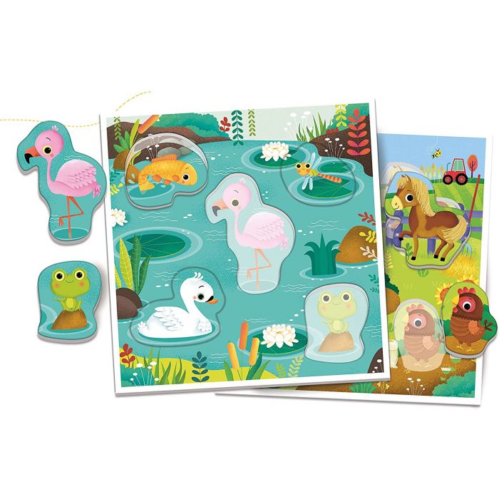 ANIMALI E AMBIENTI ANIMALI E AMBIENTI