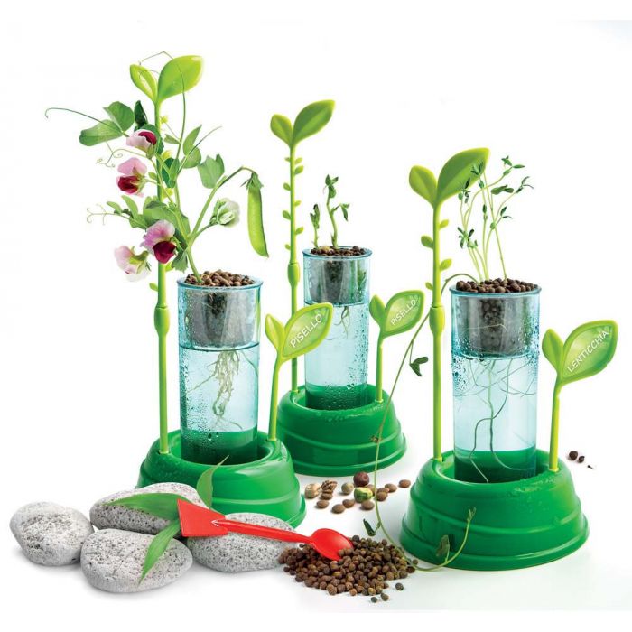 BOTANICA E IDROCULTURA BOTANICA E IDROCULTURA