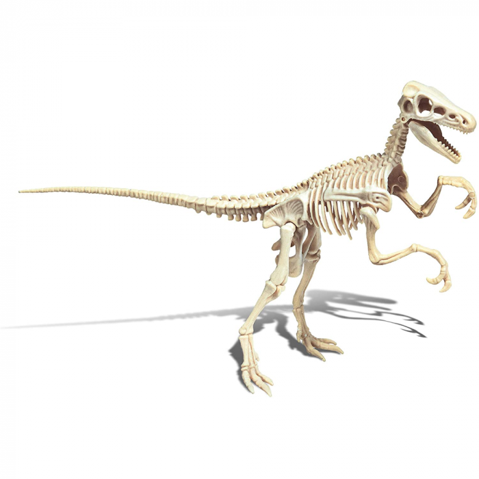 ARCHEOGIOCANDO - VELOCIRAPTOR ARCHEOGIOCANDO - VELOCIRAPTOR