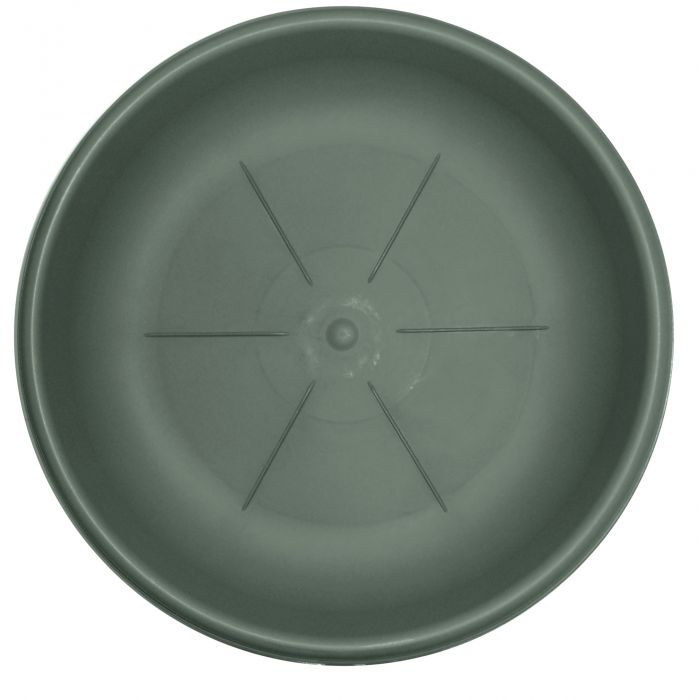 SOTTOVASO D16CM OLIVA SOTTOVASO D16CM OLIVA
