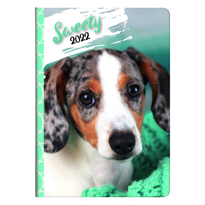 AGENDA GIORNALIERO S/D SWEETY 10.5X14.8CM ASSORTITO AGENDA GIORNALIERO S/D SWEETY 10.5X14.8CM ASSORTITO