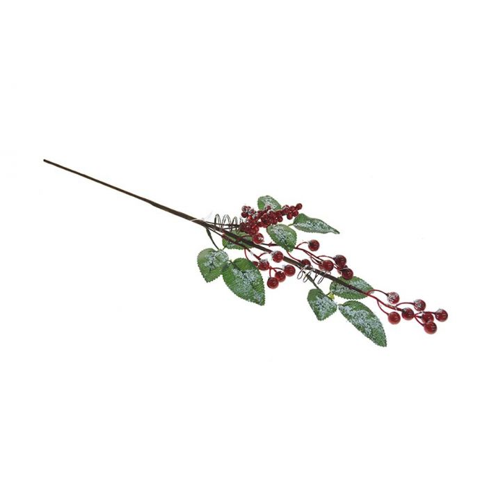 RAMO BACCHE ROSSE RAMO BACCHE ROSSE