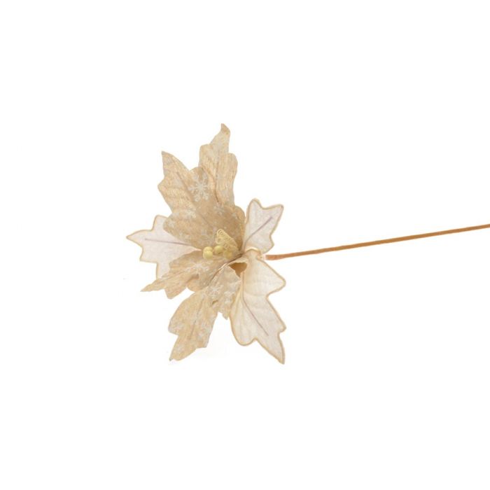 FIORE BITONO NATURALE FIORE BITONO NATURALE