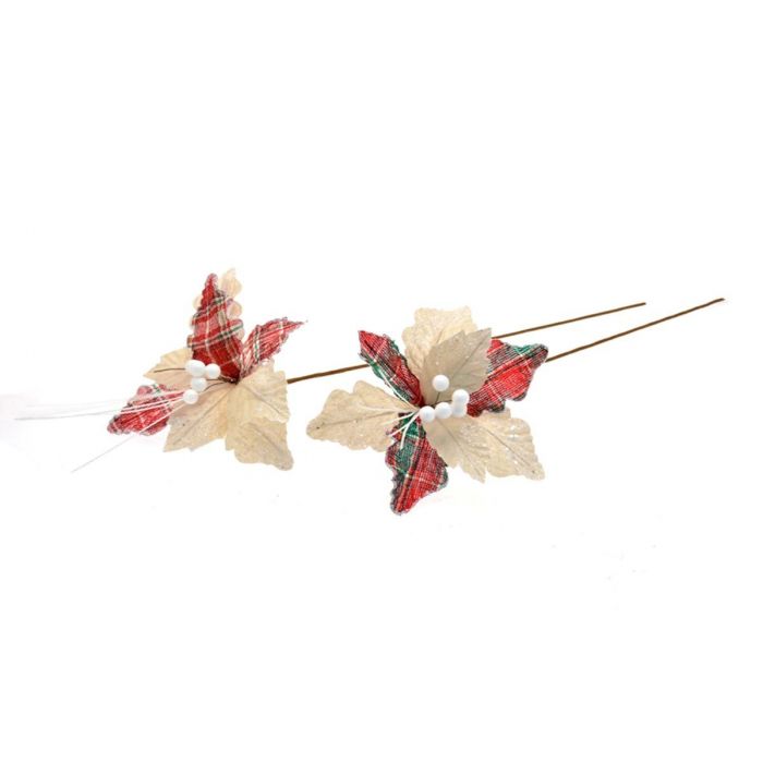 FIORE GAMBO LUNGO INNEVATO FIORE GAMBO LUNGO INNEVATO