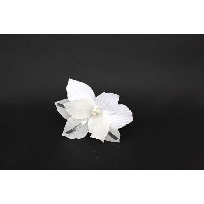 MAGNOLIA GAMBO CORTO MAGNOLIA GAMBO CORTO