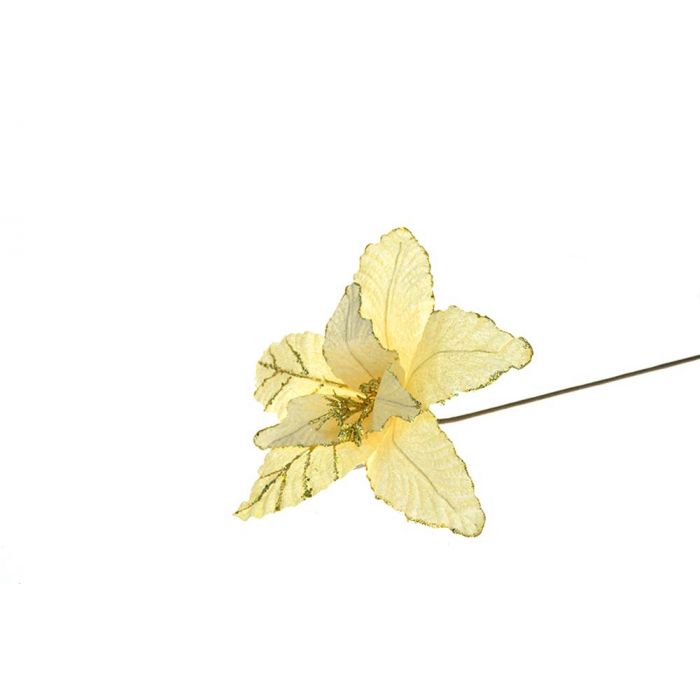 FIORE LUNGO 60CM VELLUTO CREMA FIORE LUNGO 60CM VELLUTO CREMA