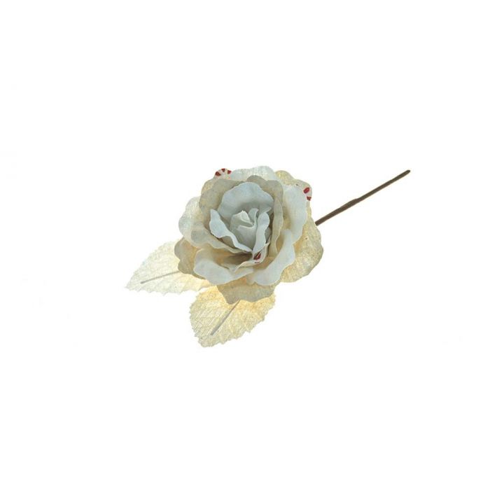 ROSA GAMBO CORTO ROSA GAMBO CORTO