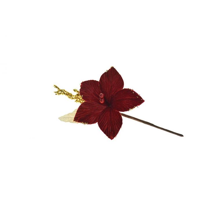 MAGNOLIA GAMBO CORTO MAGNOLIA GAMBO CORTO