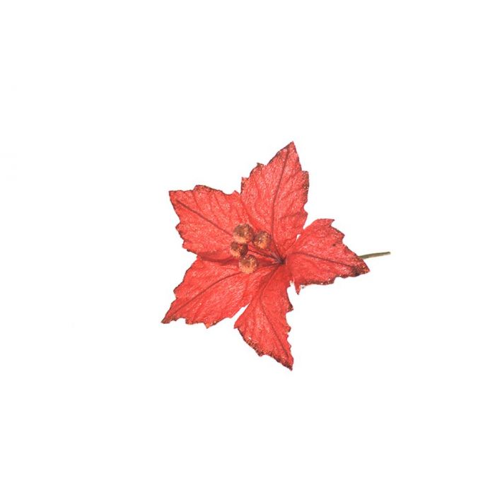 STELLA GAMBO CORTO VELLUTO ROSSO STELLA GAMBO CORTO VELLUTO ROSSO