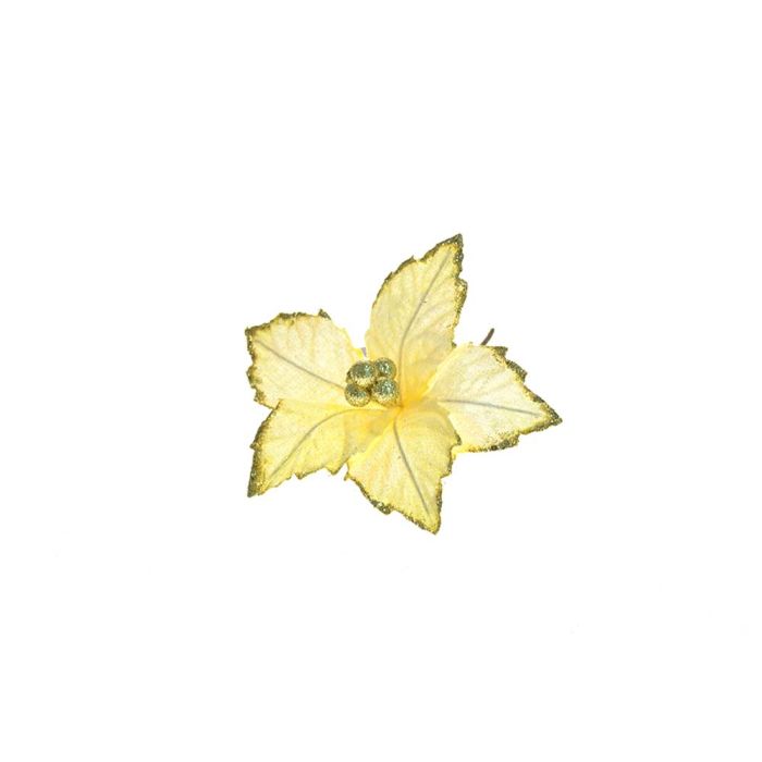 STELLA GAMBO CORTO VELLUTO CREMA STELLA GAMBO CORTO VELLUTO CREMA