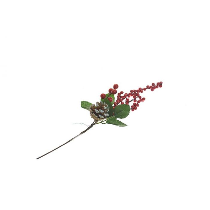 PICK BACCHE ROSSE PICK BACCHE ROSSE