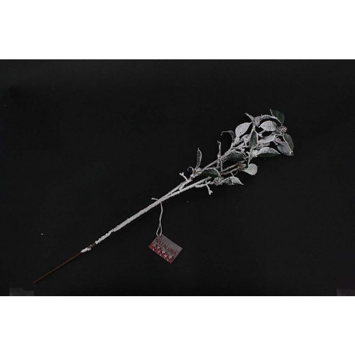 PICK INNEVATO C/BACCHE PICK INNEVATO C/BACCHE