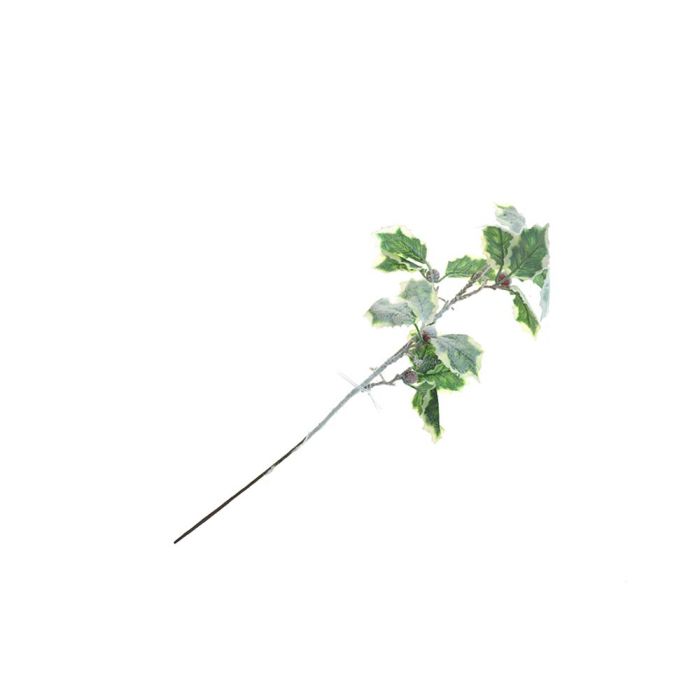 PICK INNEVATO C/BACCHE