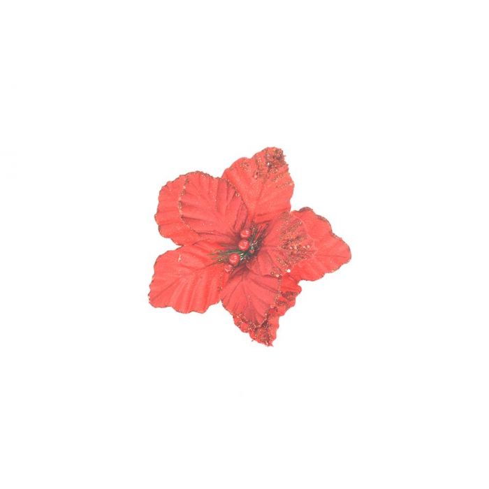 STELLA VELLUTO GAMBO CORTO C/BACCHE ROSSE STELLA VELLUTO GAMBO CORTO C/BACCHE ROSSE