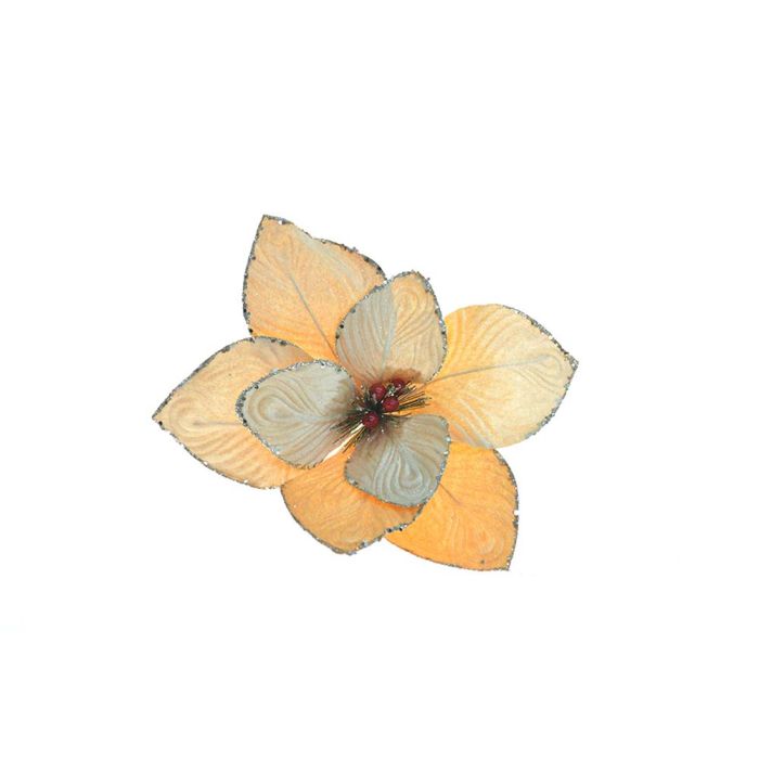 STELLA VELLUTO GAMBO CORTO C/BACCHE CREMA STELLA VELLUTO GAMBO CORTO C/BACCHE CREMA