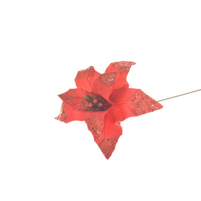 STELLA VELLUTO GAMBO LUNGO C/BACCHE ROSSO STELLA VELLUTO GAMBO LUNGO C/BACCHE ROSSO