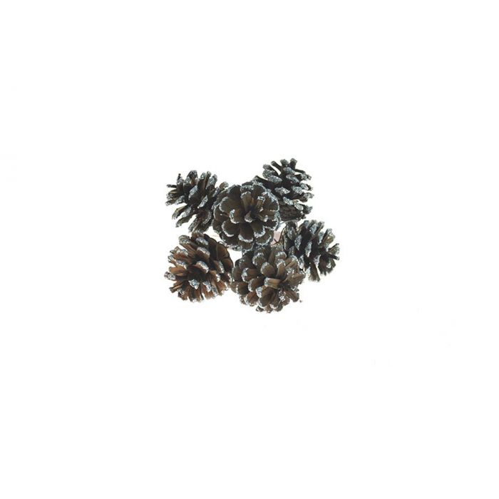 PICK 6 PIGNE ORO PICK 6 PIGNE ORO