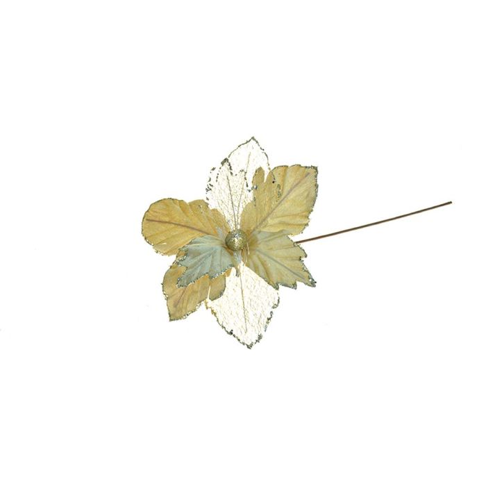 STELLA GAMBO CORTO VELLUTO CHAMPAGNE STELLA GAMBO CORTO VELLUTO CHAMPAGNE