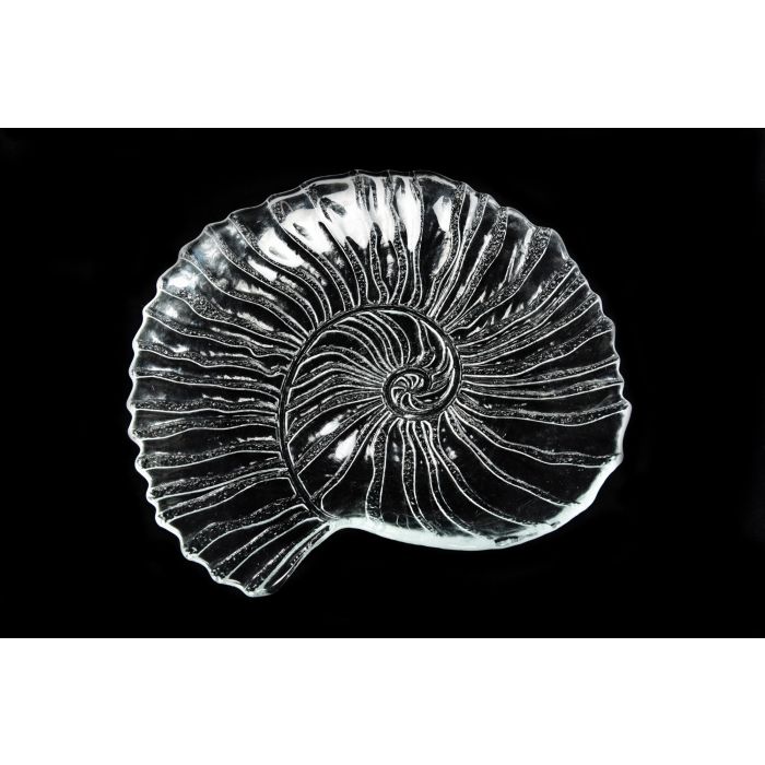 PIATTO CONCHIGLIA IN VETRO SEASNAIL 32X29CM TRASPARENTE PIATTO CONCHIGLIA IN VETRO SEASNAIL 32X29CM TRASPARENTE