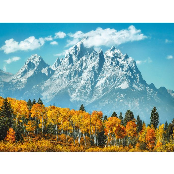 PZL 500PZ GRAND TETON IN FALL PZL 500PZ GRAND TETON IN FALL