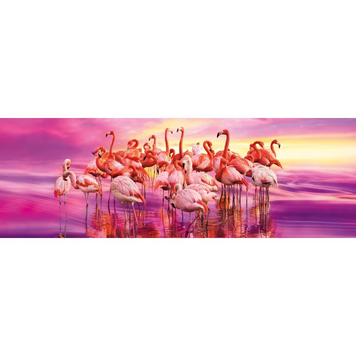 PZL 1000 HQC PANORAMA FLAMINGO DANCE PZL 1000 HQC PANORAMA FLAMINGO DANCE
