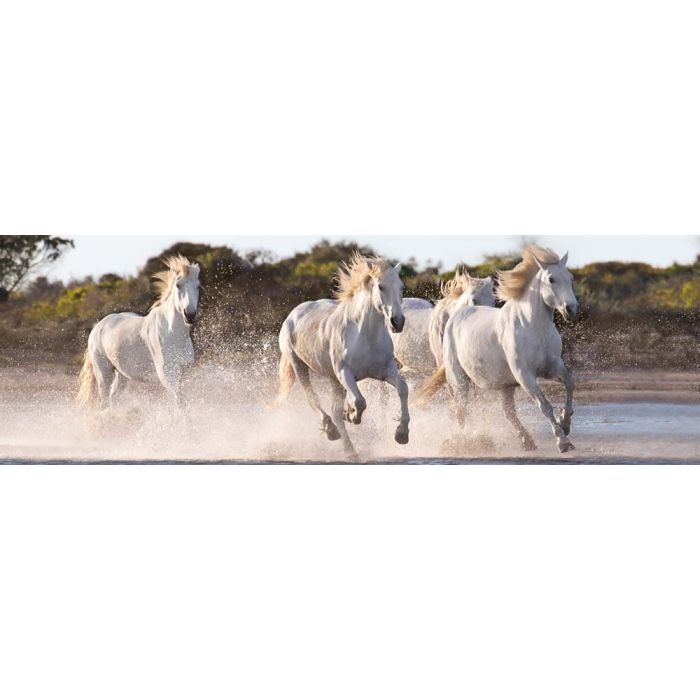 PZL 1000 HQC PANORAMA RUNNING HORSES PZL 1000 HQC PANORAMA RUNNING HORSES
