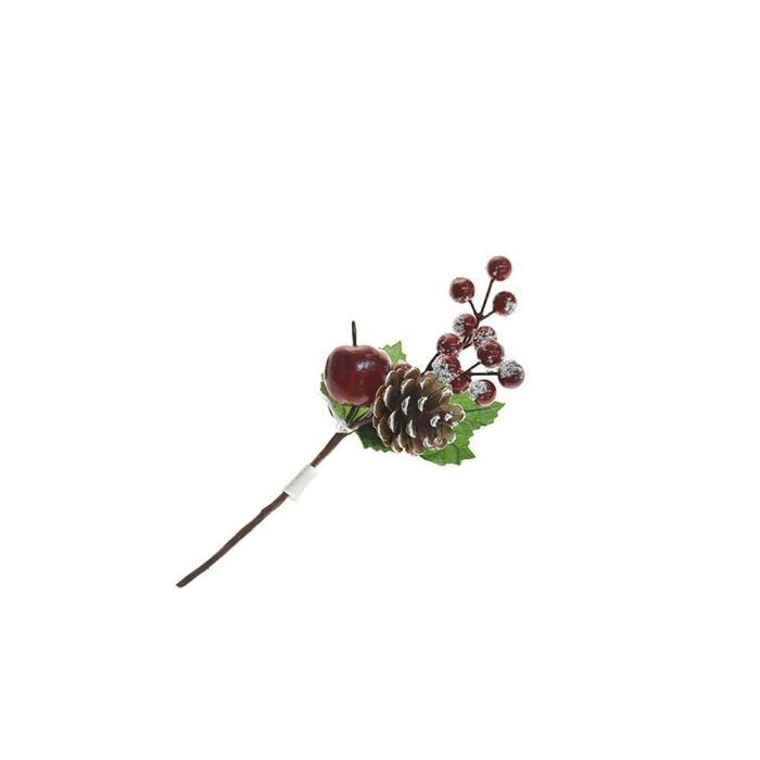 PICK BACCHE C/FRUTTA PICK BACCHE C/FRUTTA