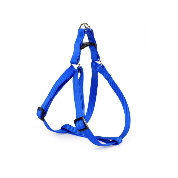 PETTORINA FLASH N1 MM.12 BLU PETTORINA FLASH N1 MM.12 BLU
