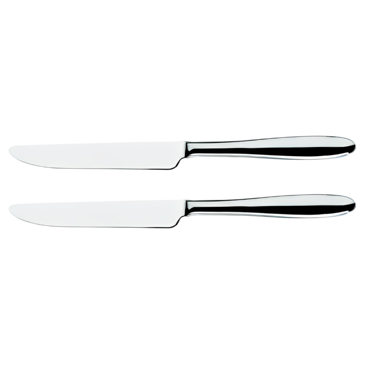 SET 2 COLTELLI DA TAVOLA LINEA SLIM 23.5CM
